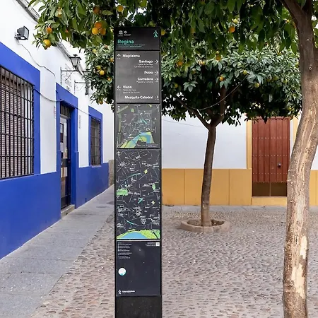 Bhost - Regina V * Córdoba